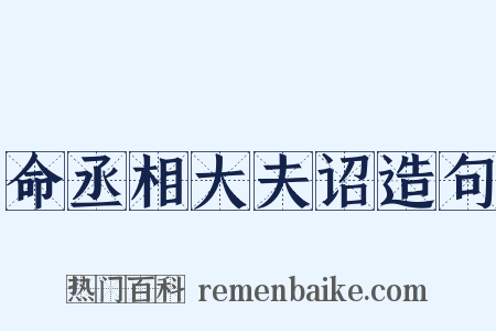命丞相大夫诏造句是什么意思的图片